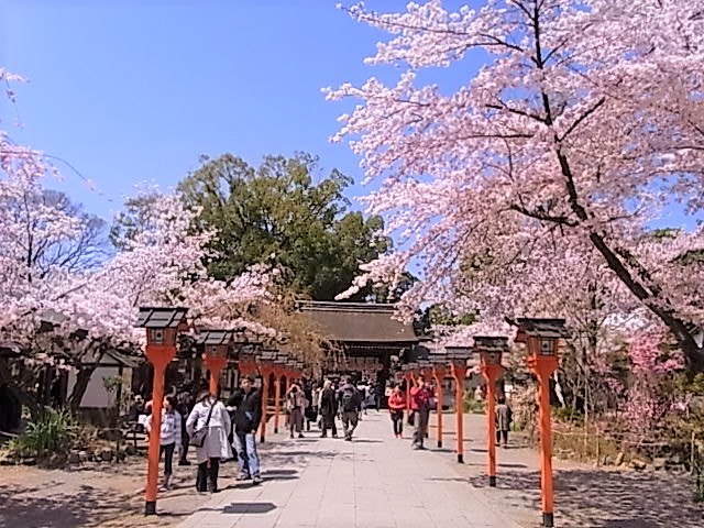 平野神社　参道