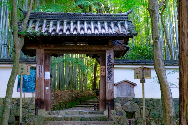 地蔵院　竹の寺