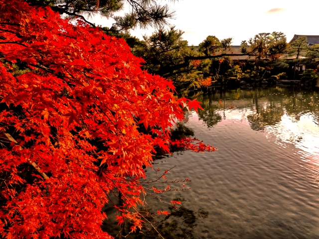 平安神宮　紅葉