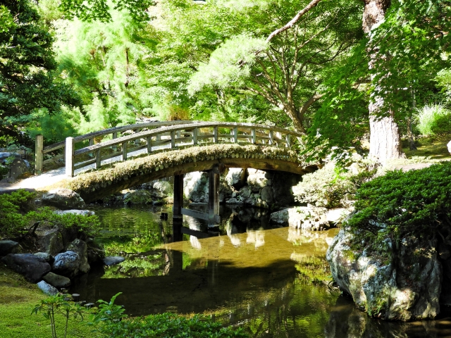 京都御苑　庭園