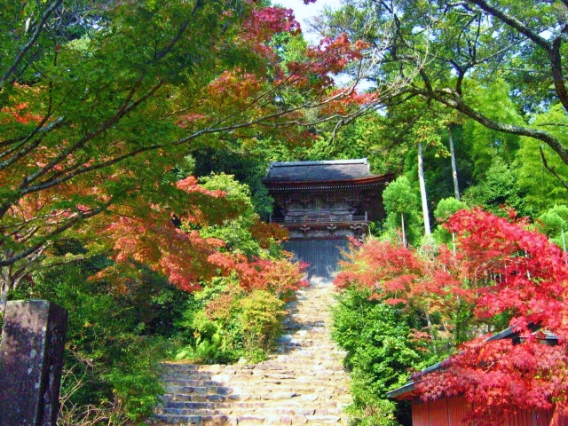 神護寺　紅葉　階段
