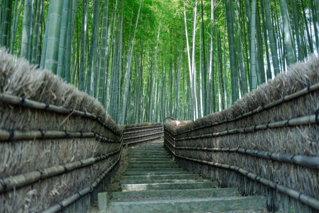 化野念仏寺　竹の小径