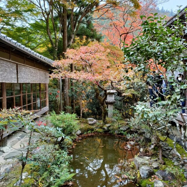 高山寺　庭園